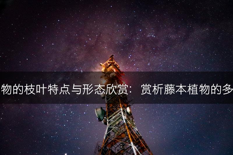 藤本植物的枝叶特点与形态欣赏：赏析藤本植物的多样之美(图1)