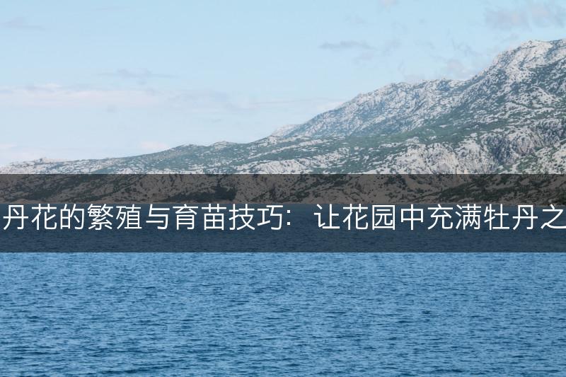 牡丹花的繁殖与育苗技巧：让花园中充满牡丹之美(图1)