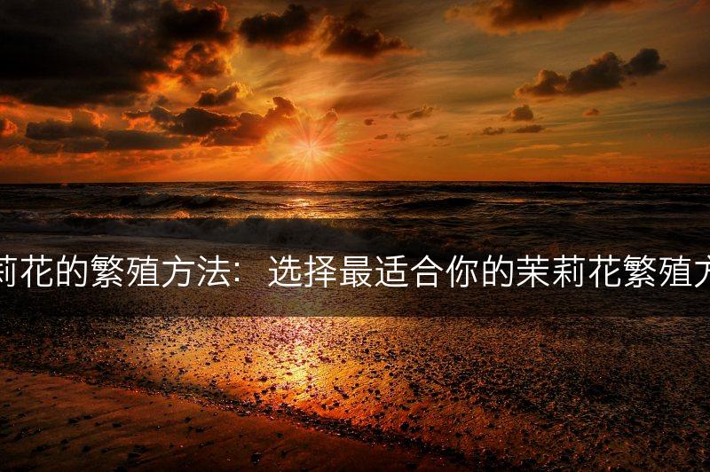 茉莉花的繁殖方法：选择最适合你的茉莉花繁殖方式(图1)