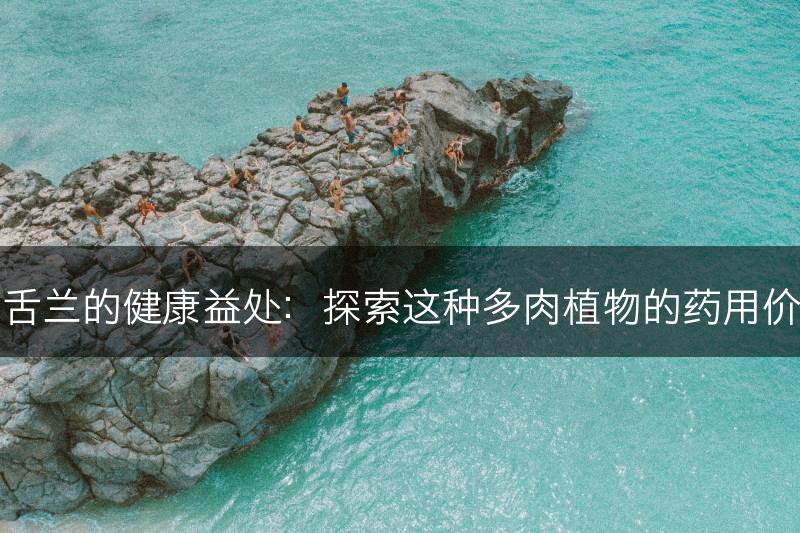 龙舌兰的健康益处：探索这种多肉植物的药用价值(图1)