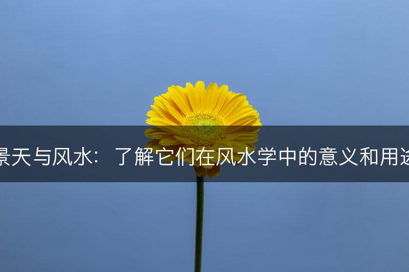 景天与风水：了解它们在风水学中的意义和用途(图1)