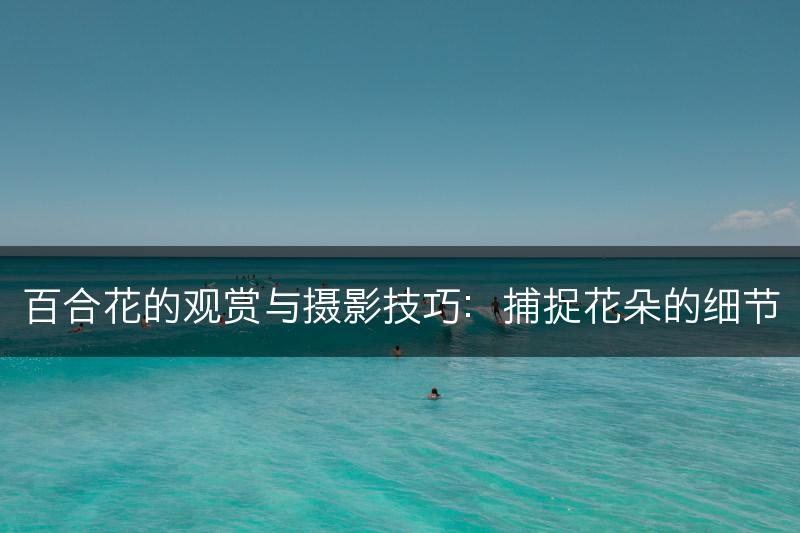 百合花的观赏与摄影技巧：捕捉花朵的细节(图1)