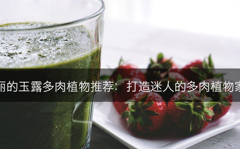 美丽的玉露多肉植物推荐：打造迷人的多肉植物家族(图1)
