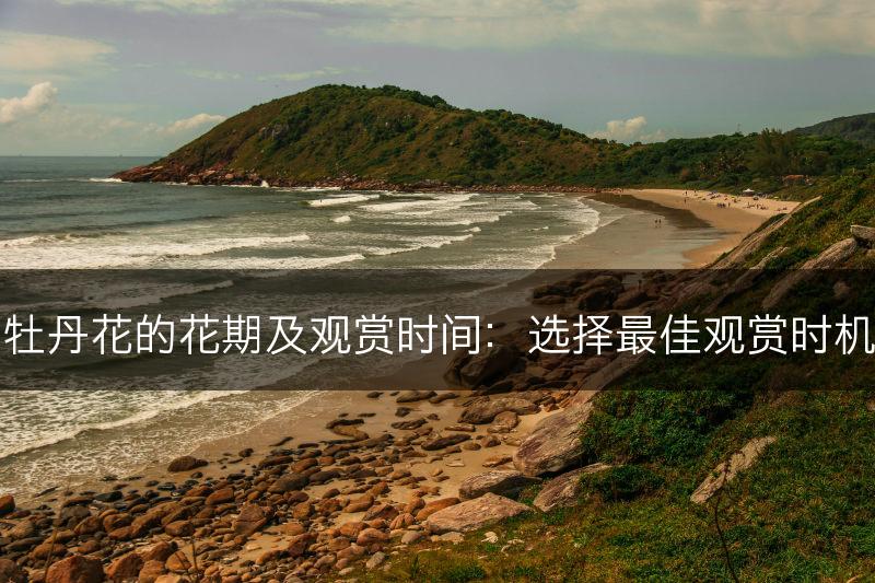 牡丹花的花期及观赏时间：选择最佳观赏时机(图1)