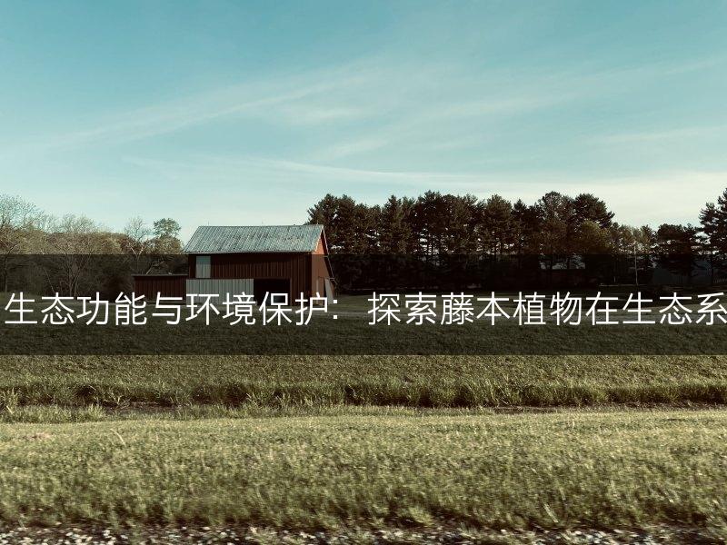 藤本植物的生态功能与环境保护：探索藤本植物在生态系统中的作用(图1)