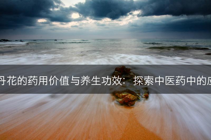 牡丹花的药用价值与养生功效：探索中医药中的应用(图1)