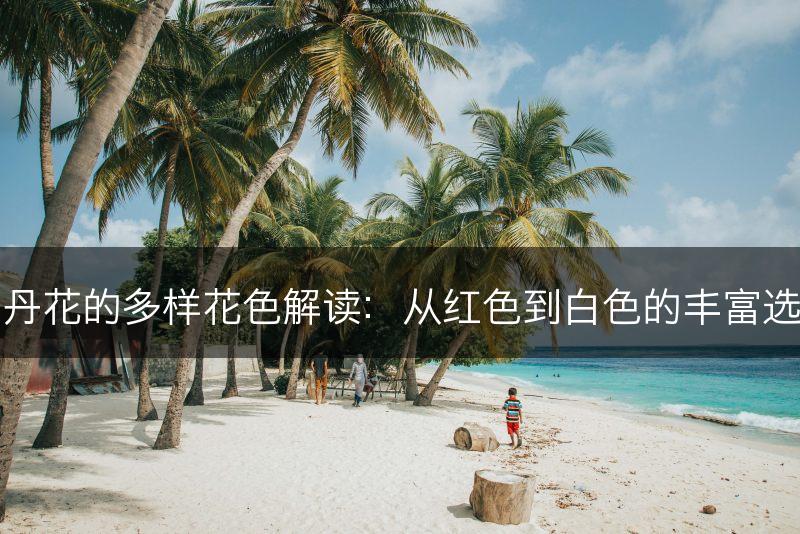 牡丹花的多样花色解读：从红色到白色的丰富选择(图1)