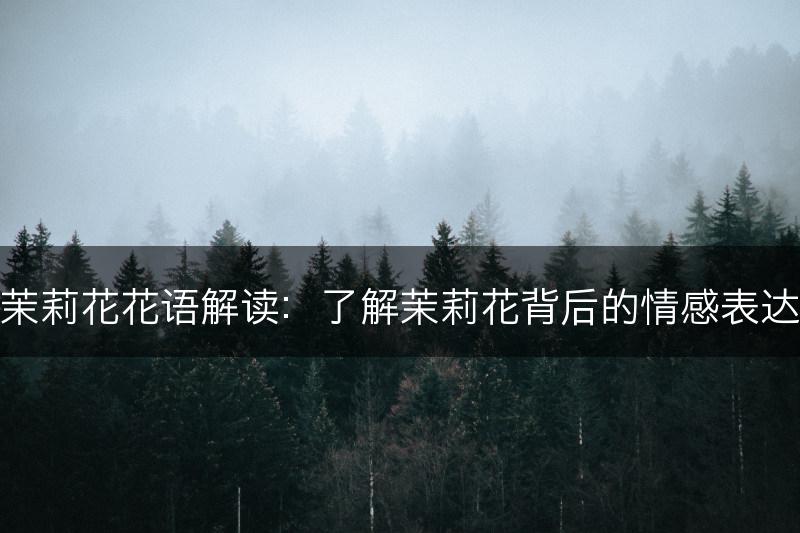 茉莉花花语解读：了解茉莉花背后的情感表达(图1)