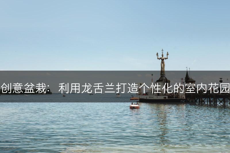 创意盆栽：利用龙舌兰打造个性化的室内花园(图1)