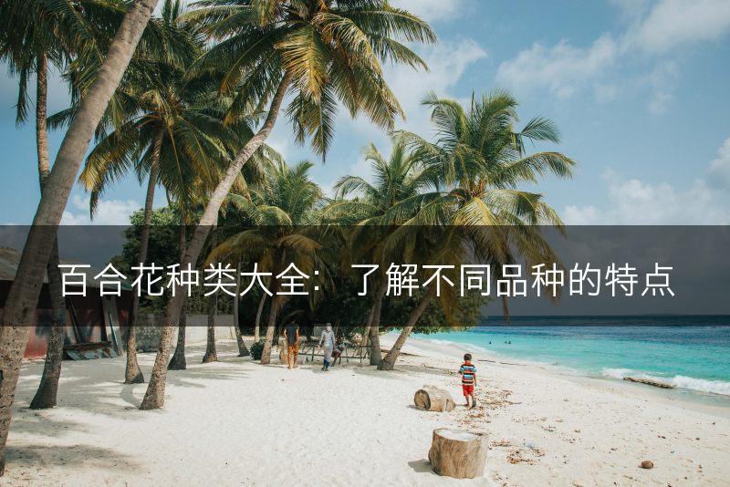 百合花种类大全：了解不同品种的特点(图1)