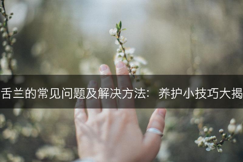 龙舌兰的常见问题及解决方法：养护小技巧大揭秘(图1)