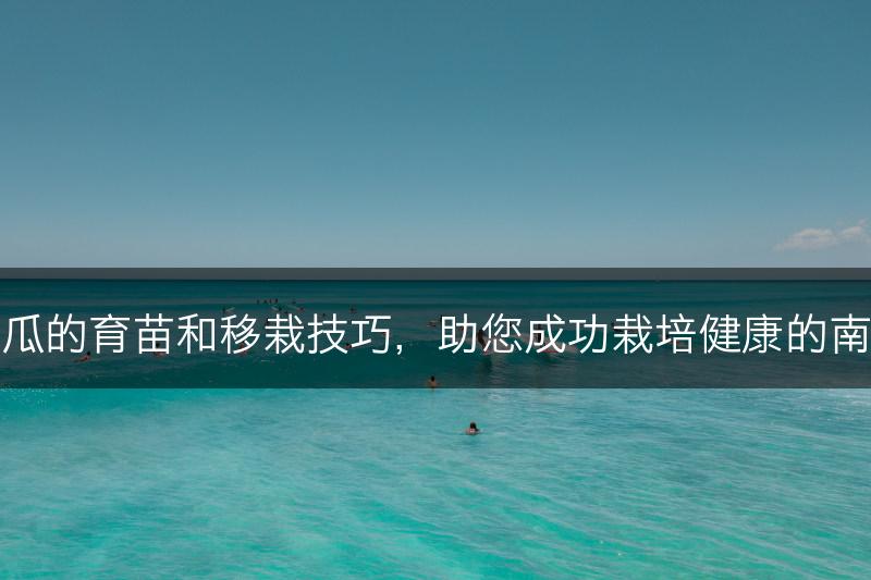 南瓜的育苗和移栽技巧，助您成功栽培健康的南瓜(图1)
