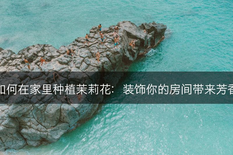 如何在家里种植茉莉花：装饰你的房间带来芳香(图1)