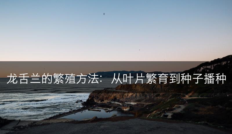 龙舌兰的繁殖方法：从叶片繁育到种子播种(图1)