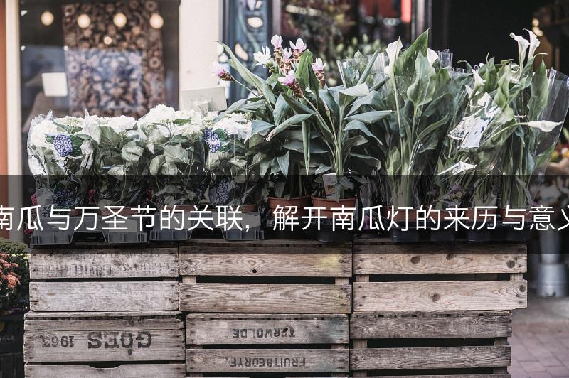 南瓜与万圣节的关联，解开南瓜灯的来历与意义(图1)