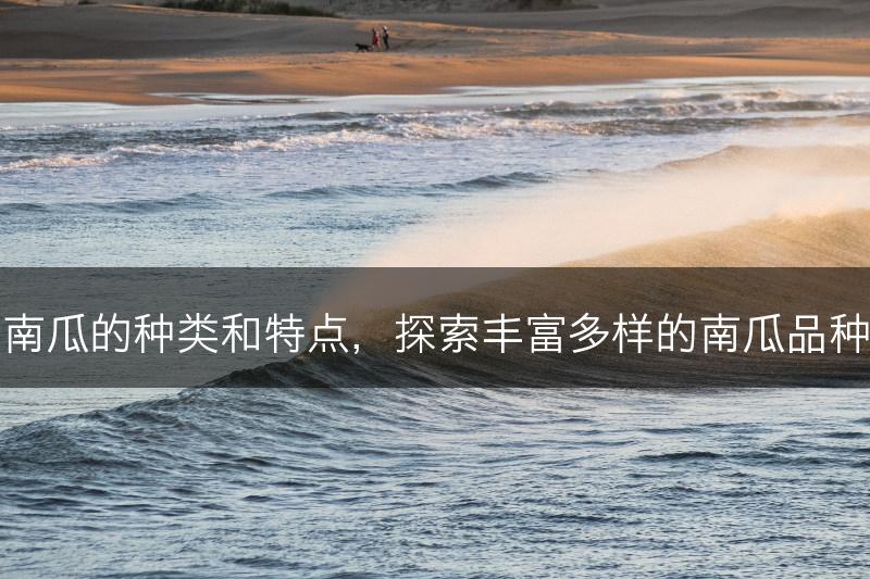 南瓜的种类和特点，探索丰富多样的南瓜品种(图1)