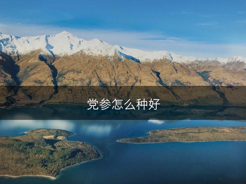 党参怎么种好(图1)