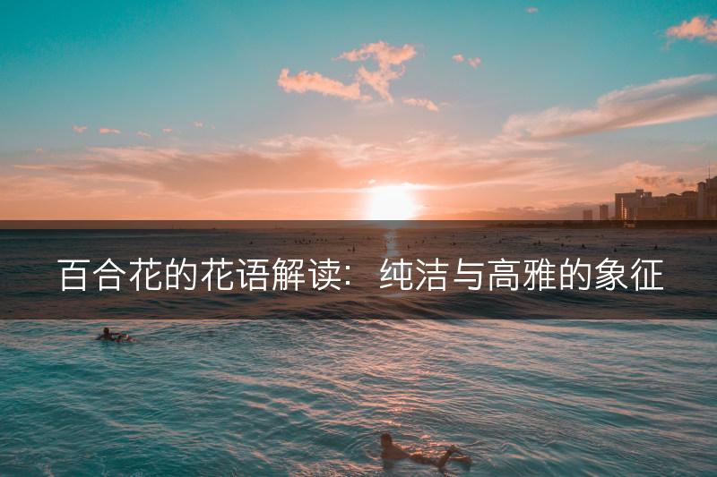 百合花的花语解读：纯洁与高雅的象征(图1)