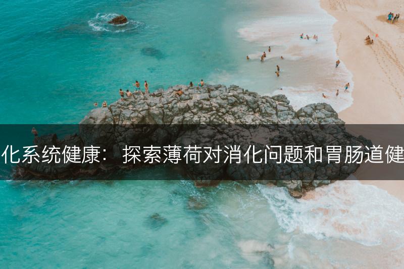 薄荷与消化系统健康：探索薄荷对消化问题和胃肠道健康的益处(图1)