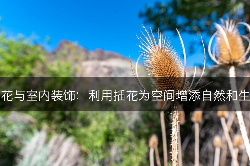 插花与室内装饰：利用插花为空间增添自然和生机(图1)