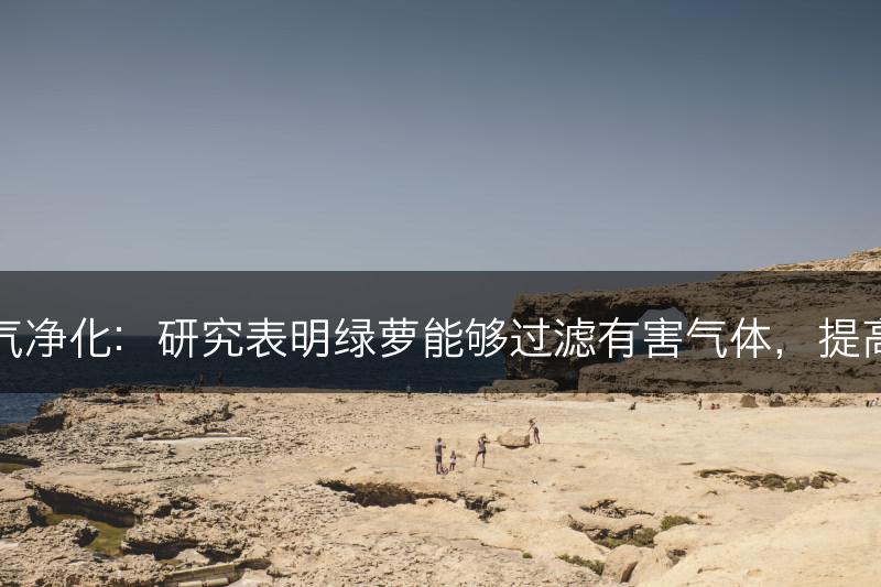 绿萝与室内空气净化：研究表明绿萝能够过滤有害气体，提高室内空气质量(图1)