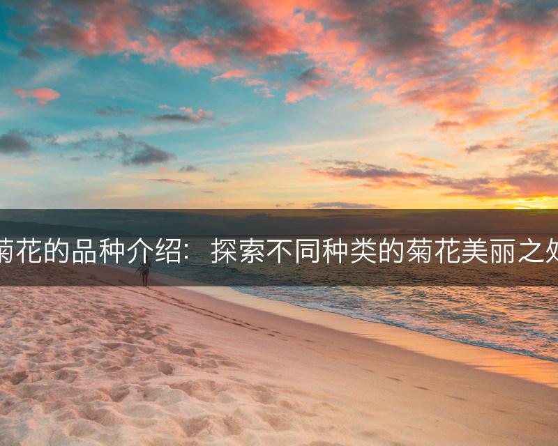 菊花的品种介绍：探索不同种类的菊花美丽之处(图1)