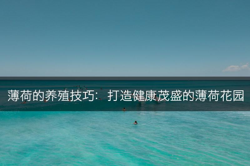 薄荷的养殖技巧：打造健康茂盛的薄荷花园(图1)