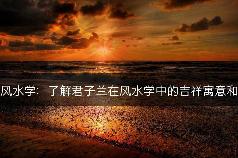 君子兰与风水学：了解君子兰在风水学中的吉祥寓意和运势象征(图1)