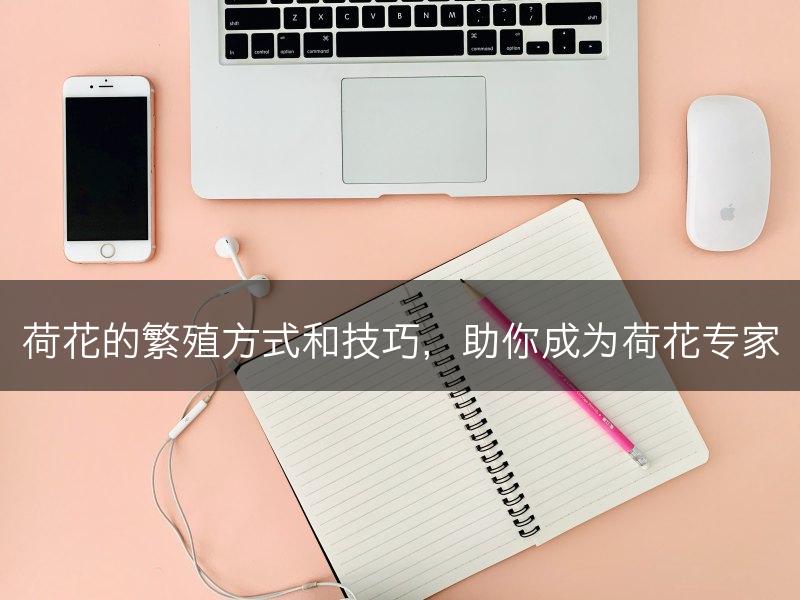 荷花的繁殖方式和技巧，助你成为荷花专家(图1)
