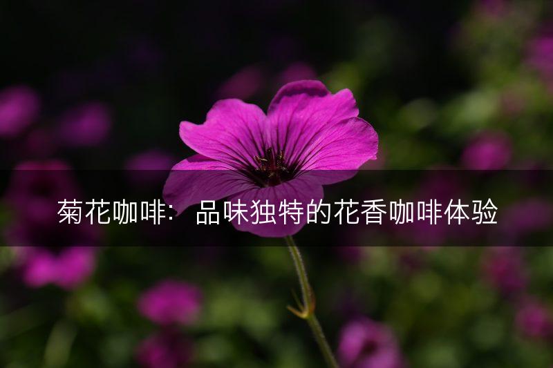 菊花咖啡：品味独特的花香咖啡体验(图1)