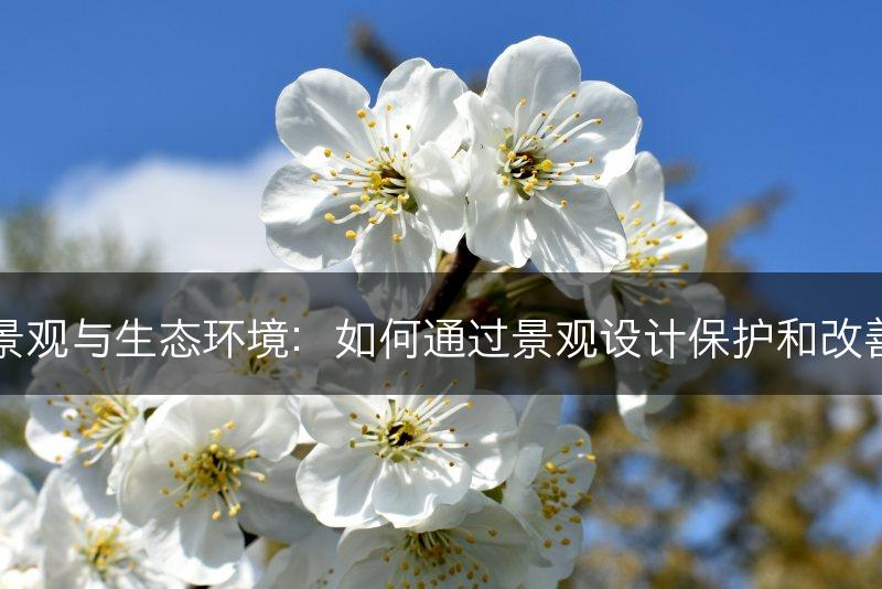 园林景观与生态环境：如何通过景观设计保护和改善环境(图1)