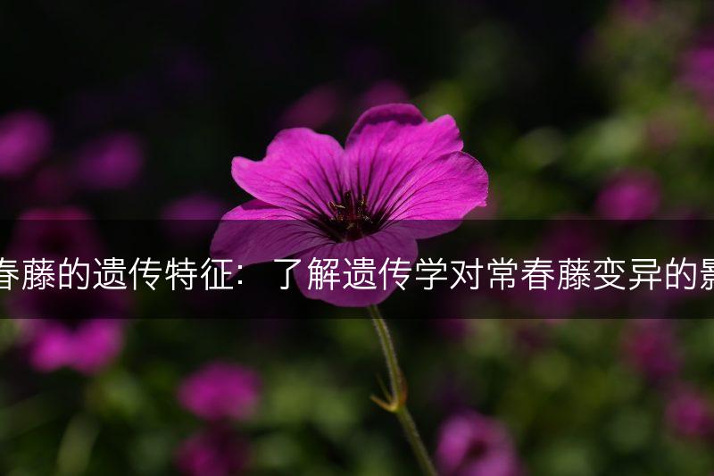 常春藤的遗传特征：了解遗传学对常春藤变异的影响(图1)