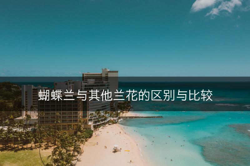 蝴蝶兰与其他兰花的区别与比较(图1)