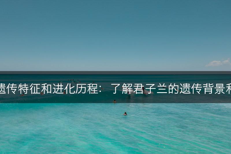 君子兰的遗传特征和进化历程：了解君子兰的遗传背景和演化历史(图1)