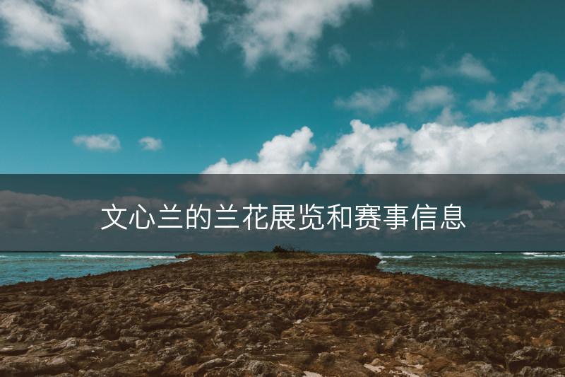 文心兰的兰花展览和赛事信息(图1)