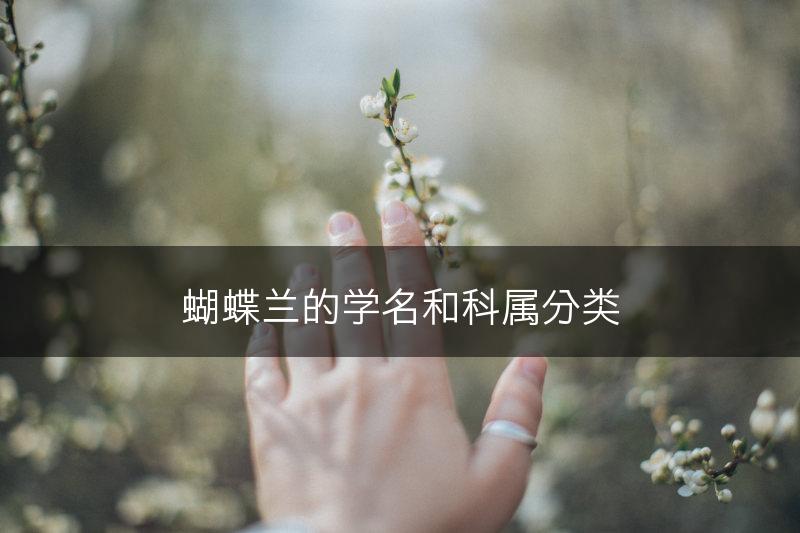 蝴蝶兰的学名和科属分类(图1)