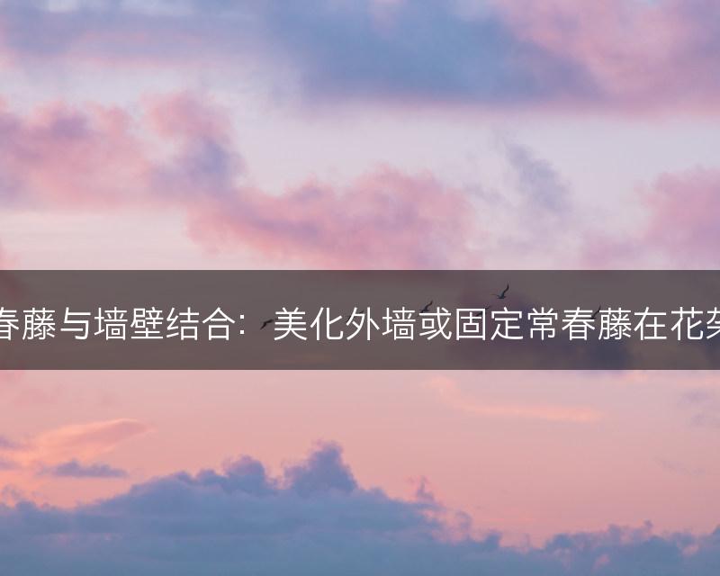 常春藤与墙壁结合：美化外墙或固定常春藤在花架上(图1)