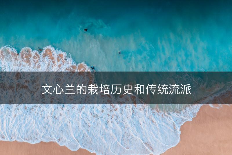 文心兰的栽培历史和传统流派(图1)