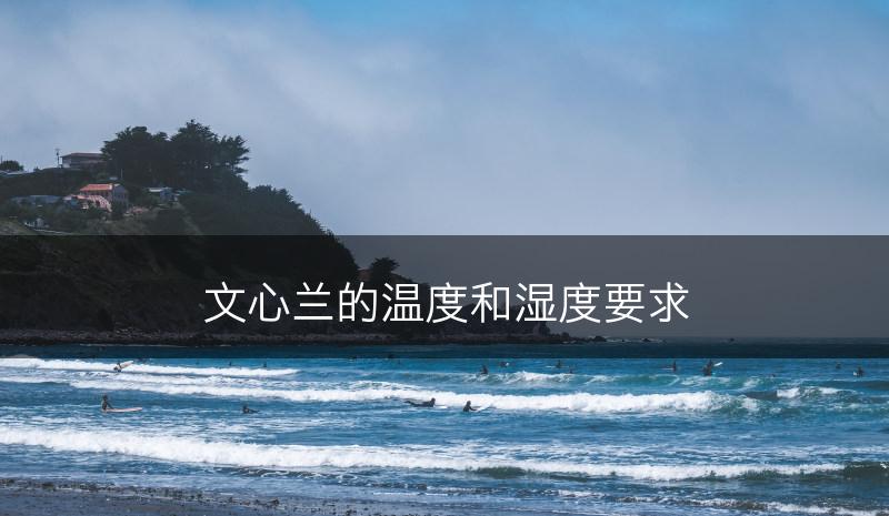 文心兰的温度和湿度要求(图1)