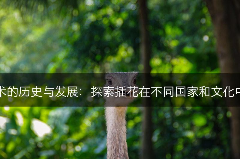 插花艺术的历史与发展：探索插花在不同国家和文化中的演变(图1)