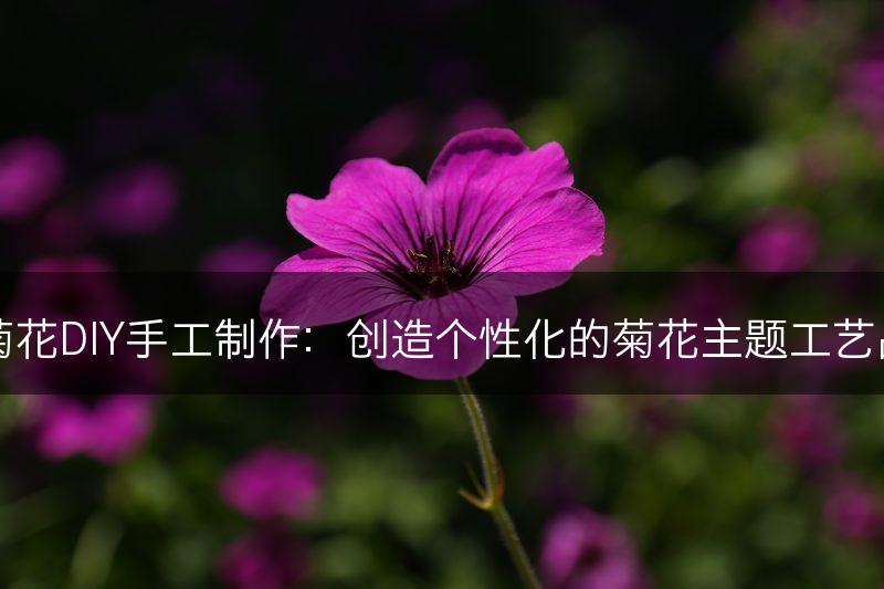 菊花DIY手工制作：创造个性化的菊花主题工艺品(图1)