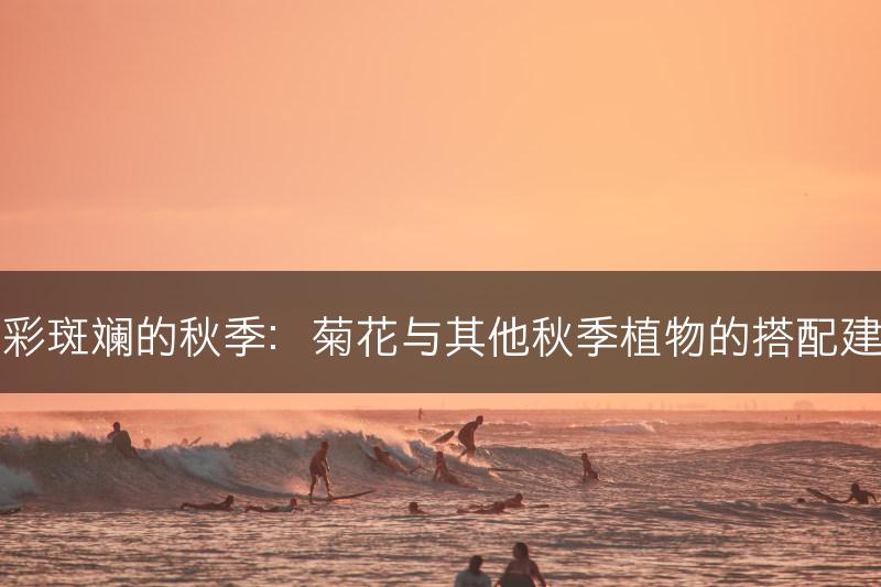 五彩斑斓的秋季：菊花与其他秋季植物的搭配建议(图1)