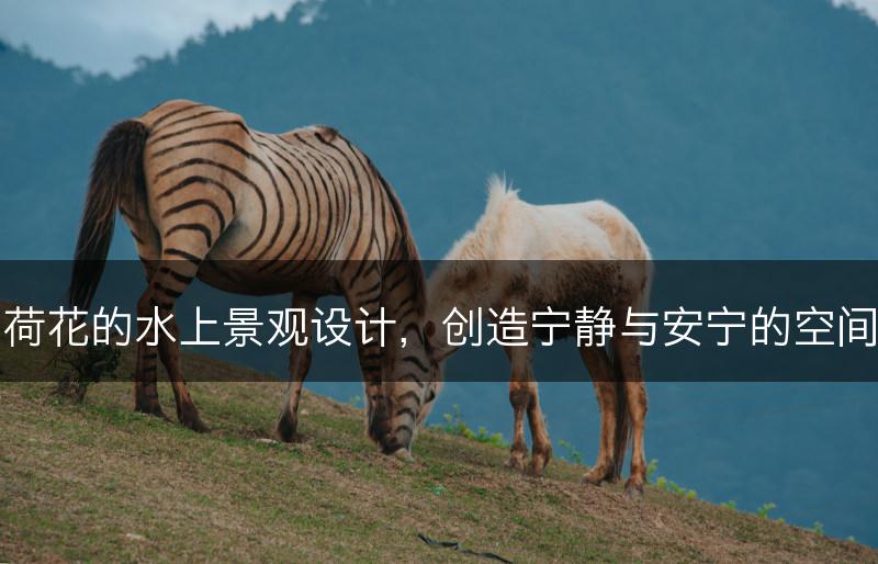 荷花的水上景观设计，创造宁静与安宁的空间(图1)