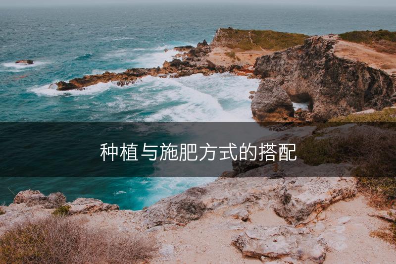 种植与施肥方式的搭配(图1)