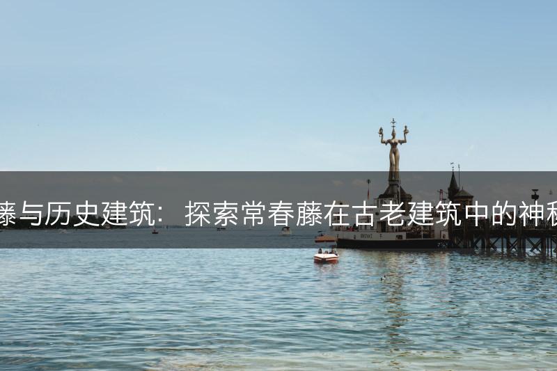 常春藤与历史建筑：探索常春藤在古老建筑中的神秘魅力(图1)