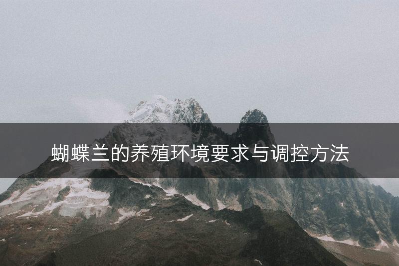 蝴蝶兰的养殖环境要求与调控方法(图1)