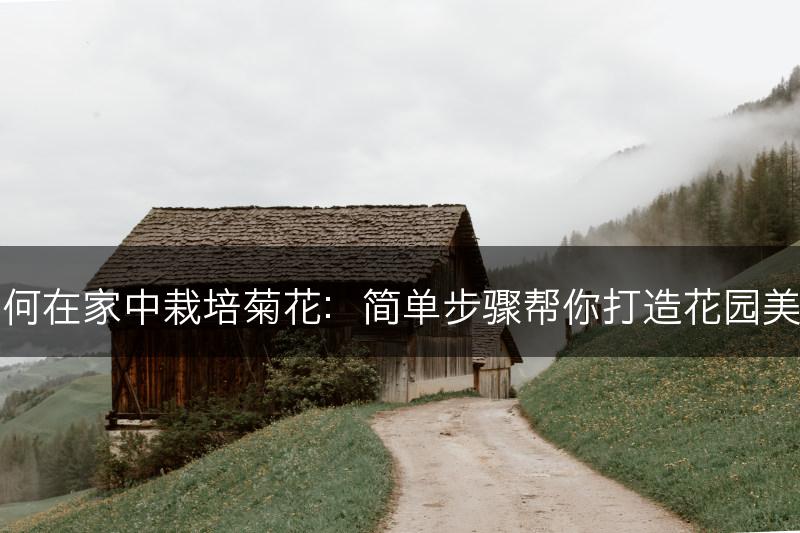 如何在家中栽培菊花：简单步骤帮你打造花园美景(图1)