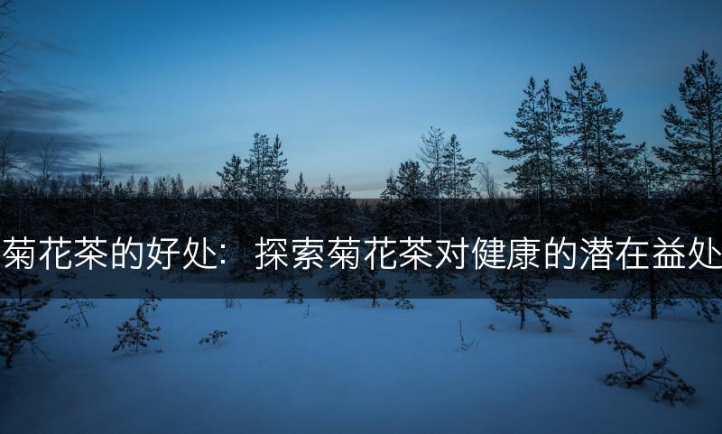 菊花茶的好处：探索菊花茶对健康的潜在益处(图1)