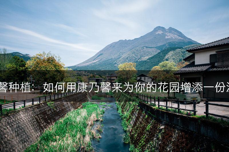 康乃馨种植：如何用康乃馨来为你的花园增添一份温馨？(图1)