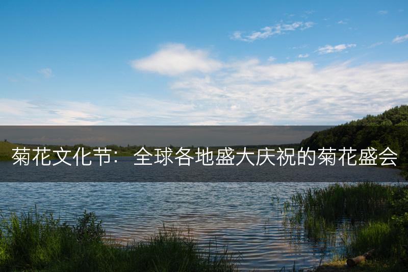 菊花文化节：全球各地盛大庆祝的菊花盛会(图1)